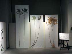 写真：展示の様子 素材となる植物 タケ