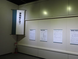 写真：博物館の舞台裏で 展示の様子1
