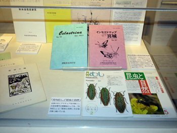 写真：秋田の昆虫をしらべよう 展示の様子2