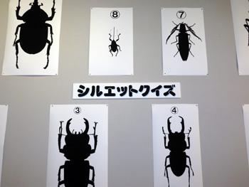 写真：昆虫クイズ 展示の様子1