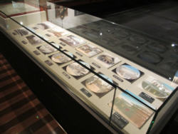 写真：人文展示室可変展示コーナー魅惑の古写真 幻灯ガラス板 展示の様子2