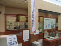 ツツガムシ咬傷はどのように治療されますか?