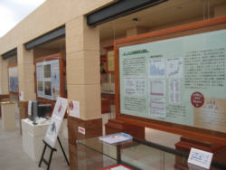 医師の診察を受ける時期