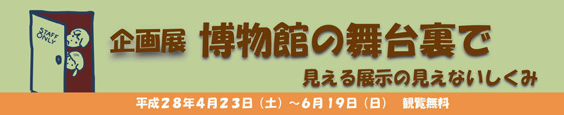 イラスト：博物館の舞台裏で タイトル画像