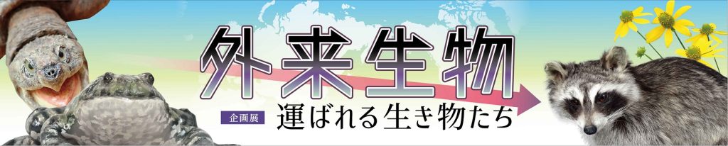 イラスト：外来生物 運ばれる生き物たち タイトル画像