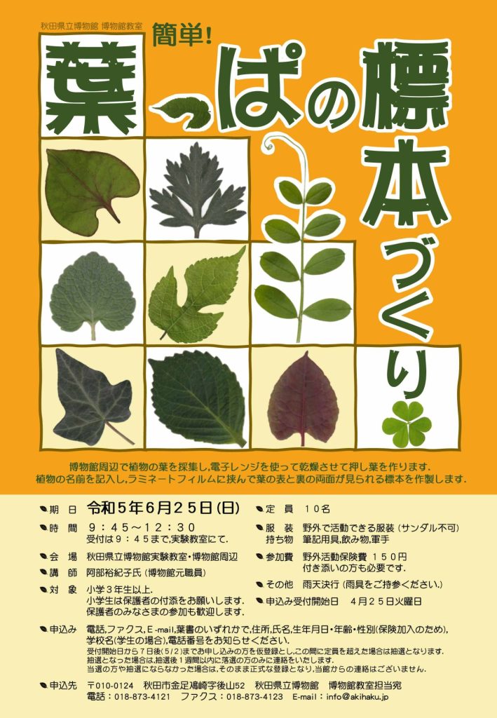 イラスト:令和5年度博物館教室:葉っぱの標本づくりチラシ
