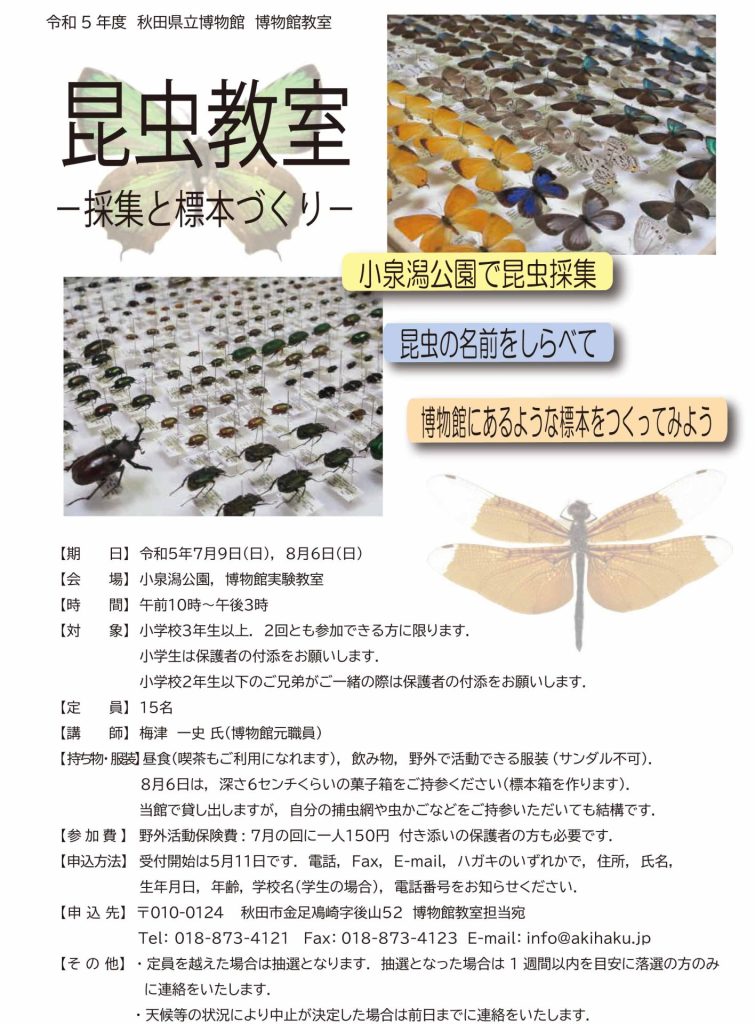 イラスト:令和5年度博物館教室:昆虫教室チラシ
