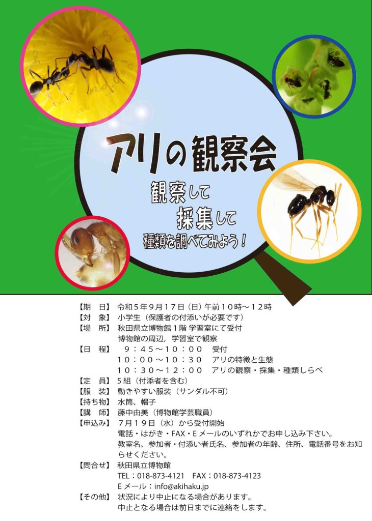イラスト:令和5年度博物館教室:アリの観察会フライヤー