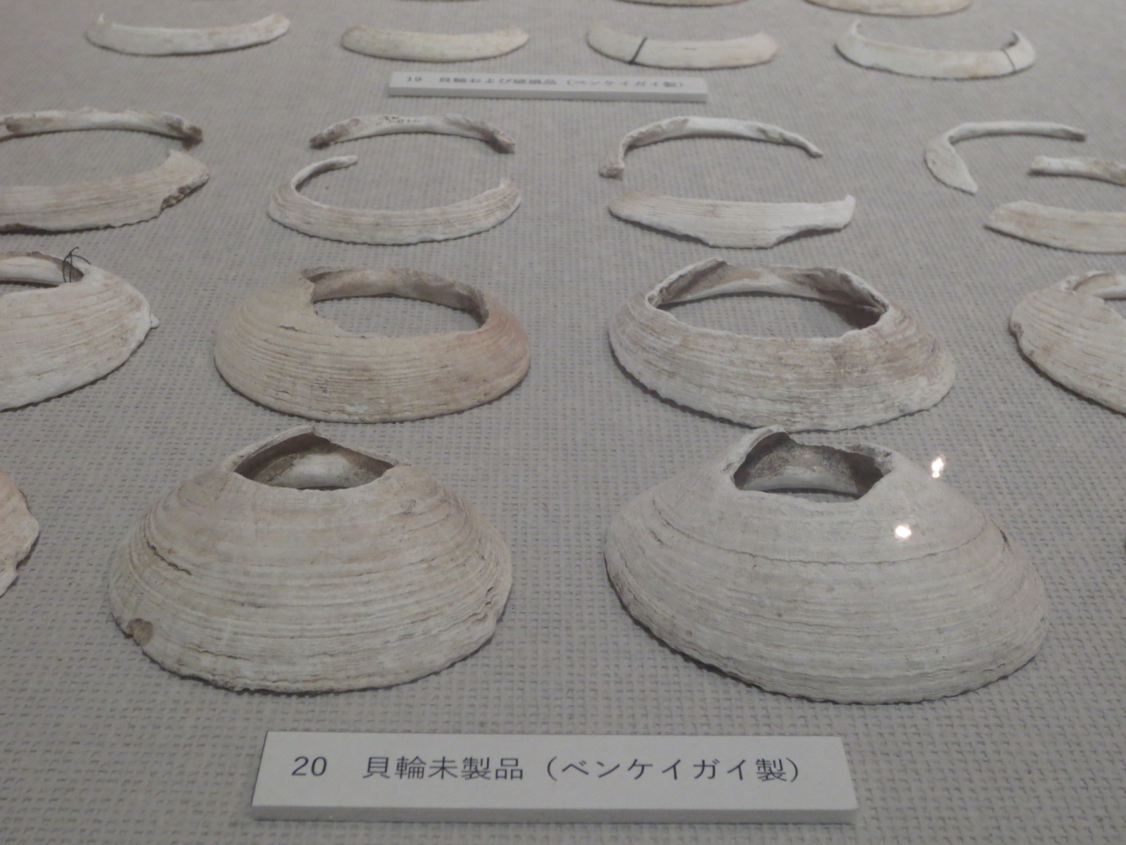 写真：展示風景　柏子所貝塚