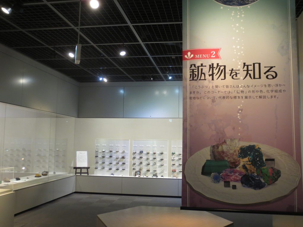 写真：展示風景　企画展　大こうぶつ展