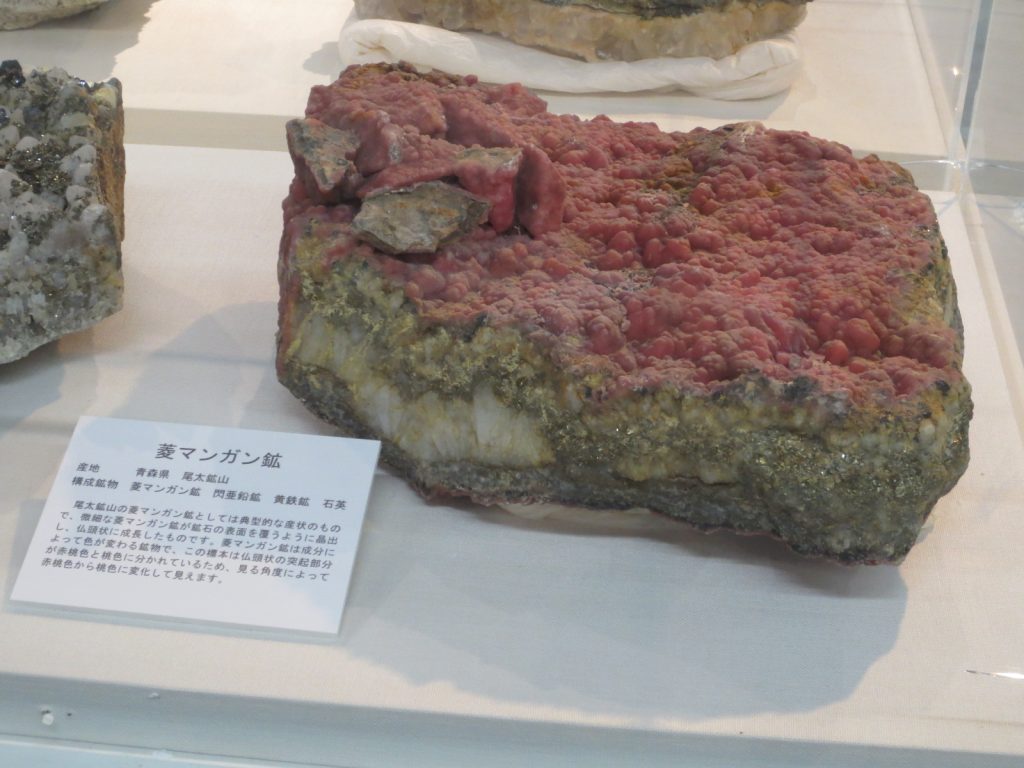 写真：展示風景　自然展示室可変展示　鉱石標本