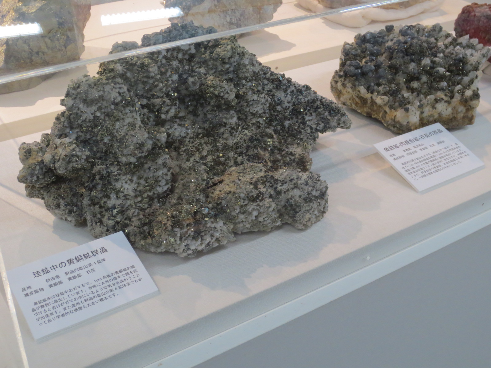 写真：展示風景　自然展示室可変展示　鉱石標本