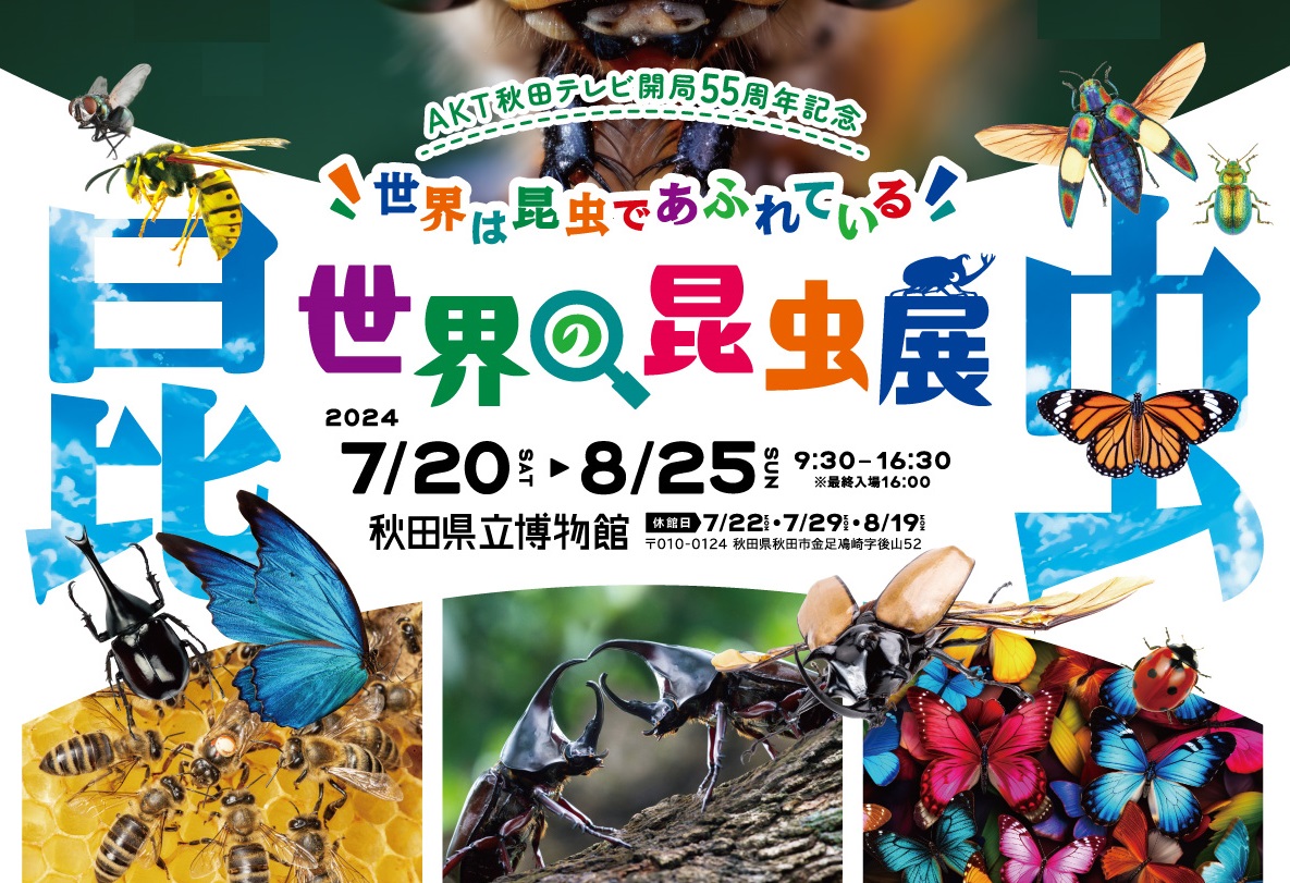 イラスト：特別展　世界は昆虫であふれている　世界の昆虫展　キャッチ画像