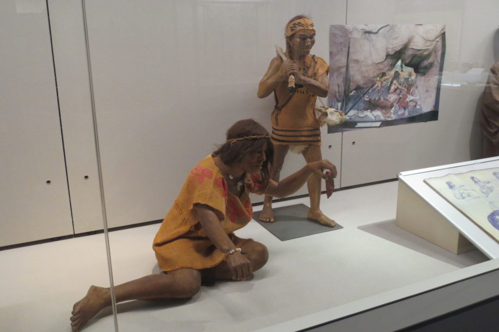 写真：展示風景　企画展　秋田県博50年のあゆみ