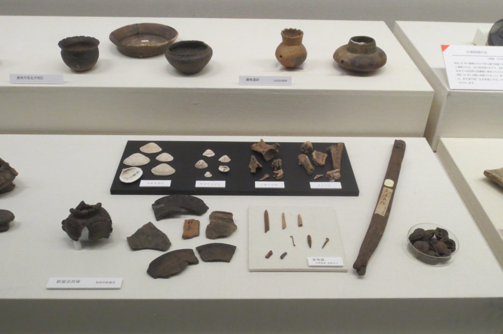 写真：展示風景　企画展　秋田県博50年のあゆみ