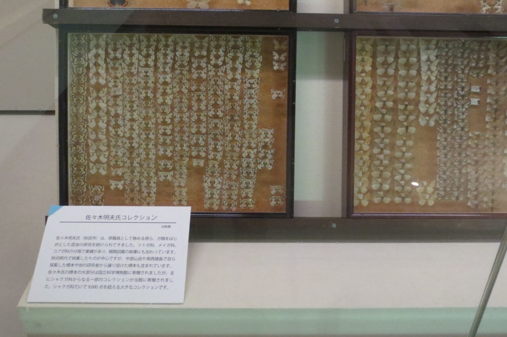 写真：展示風景　企画展　秋田県博50年のあゆみ