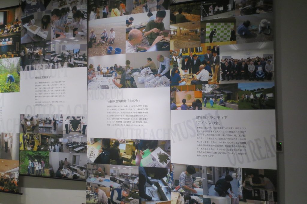 写真：展示風景　企画展　秋田県博50年のあゆみ