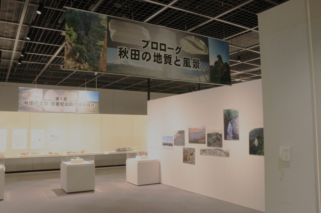 写真:展示風景 企画展 秋田の大地と成り立ち