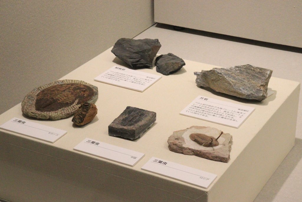 写真:展示風景 企画展 秋田の大地と成り立ち