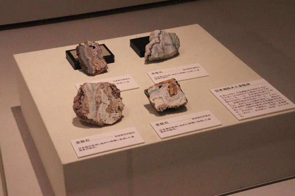 写真:展示風景 企画展 秋田の大地と成り立ち