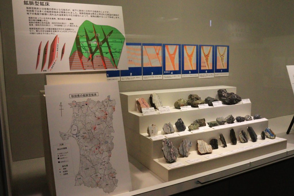 写真:展示風景 企画展 秋田の大地と成り立ち