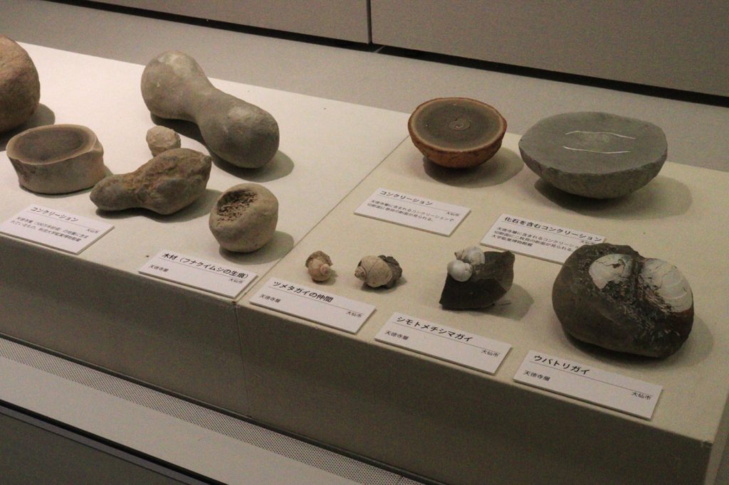 秋田の大地と成り立ち | 秋田県立博物館