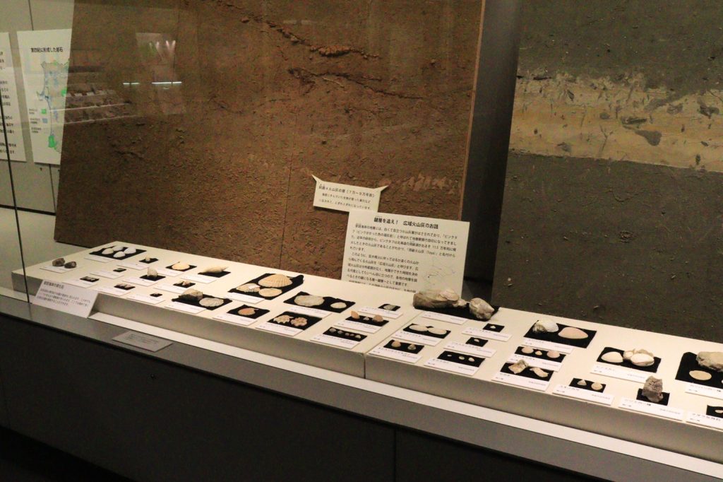写真:展示風景 企画展 秋田の大地と成り立ち