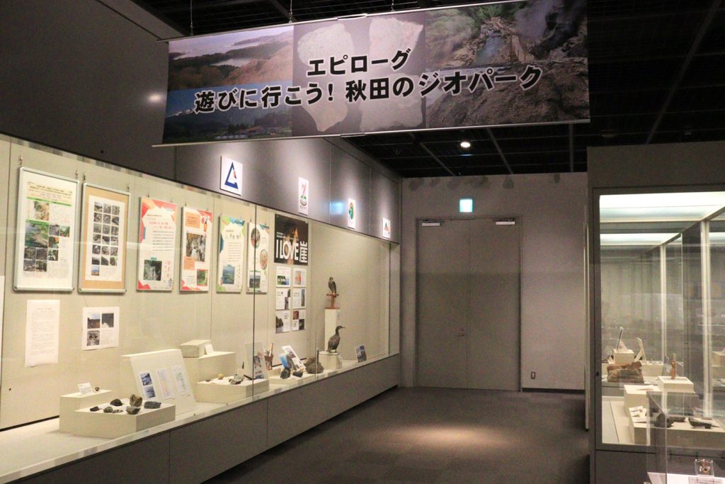 写真:展示風景 企画展 秋田の大地と成り立ち