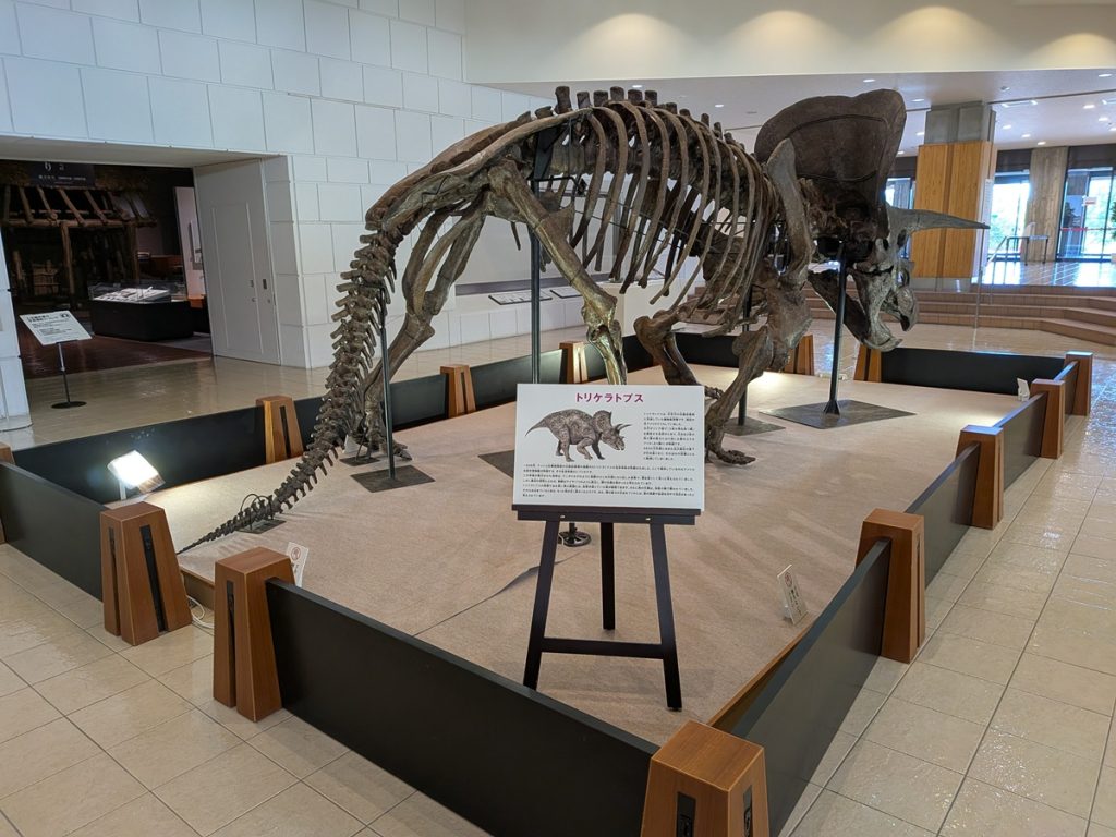 写真：展示風景　特別展　わけあって絶滅しました。展　ロビー展示