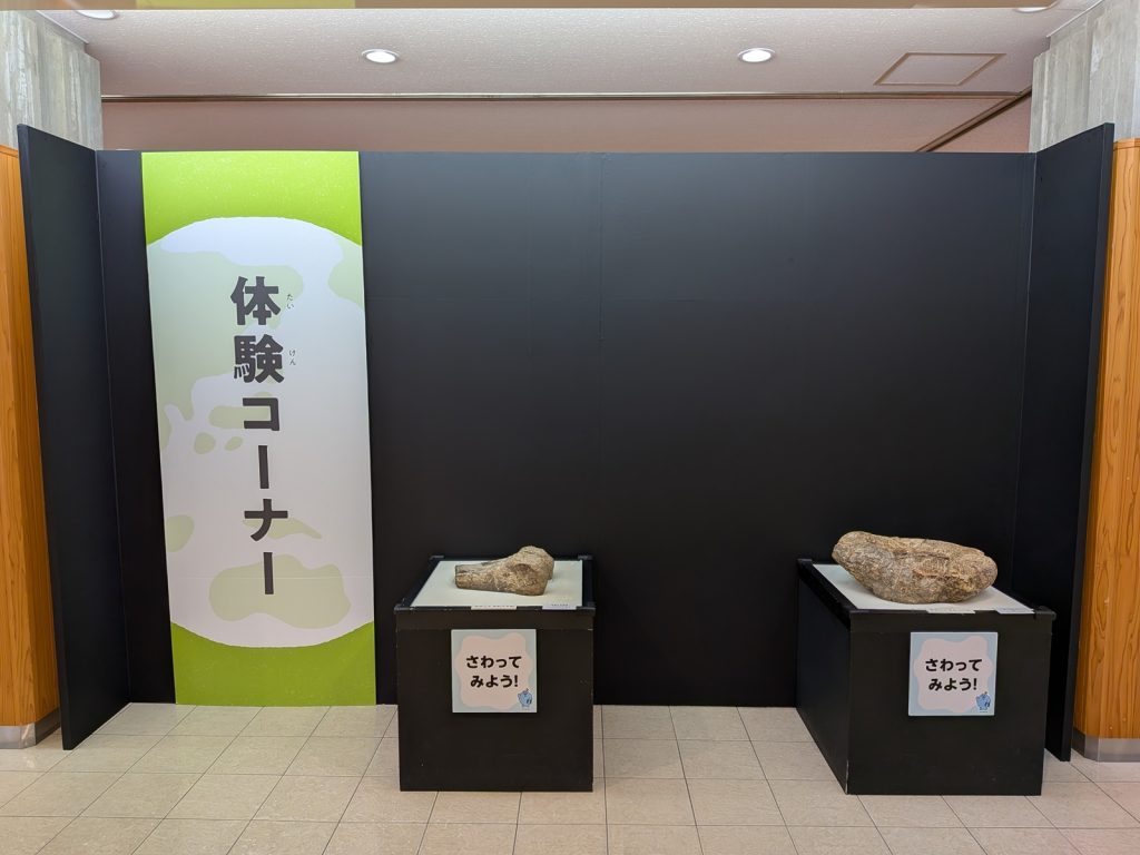 写真：展示風景　特別展　わけあって絶滅しました。展　ロビー展示
