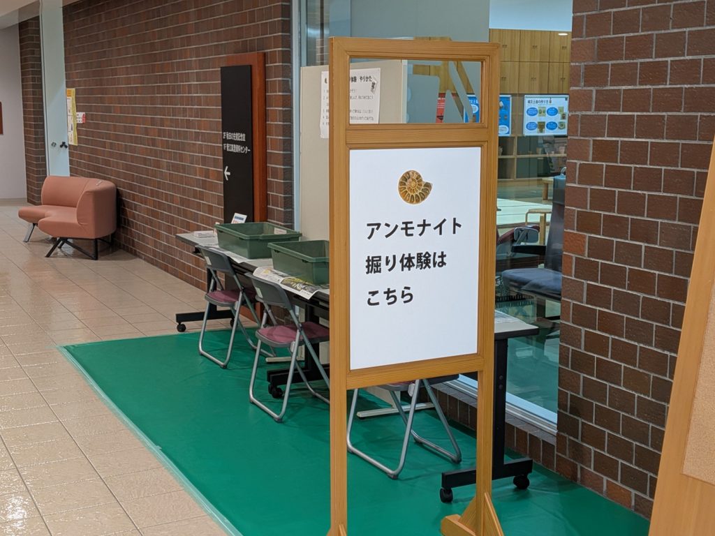 写真：展示風景　特別展　わけあって絶滅しました。展　アンモナイト掘り体験