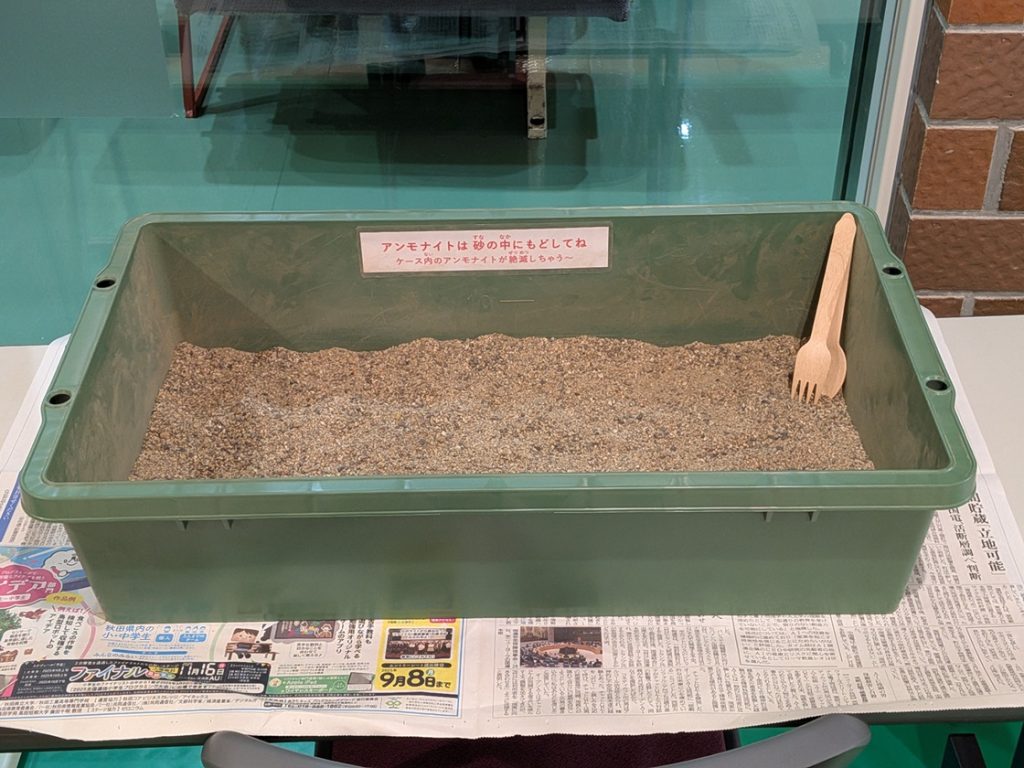 写真：展示風景　特別展　わけあって絶滅しました。展　アンモナイト掘り体験
