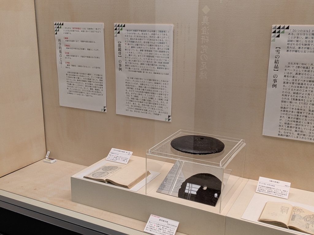 写真：展示風景　真澄コーナー展　the scientific eye