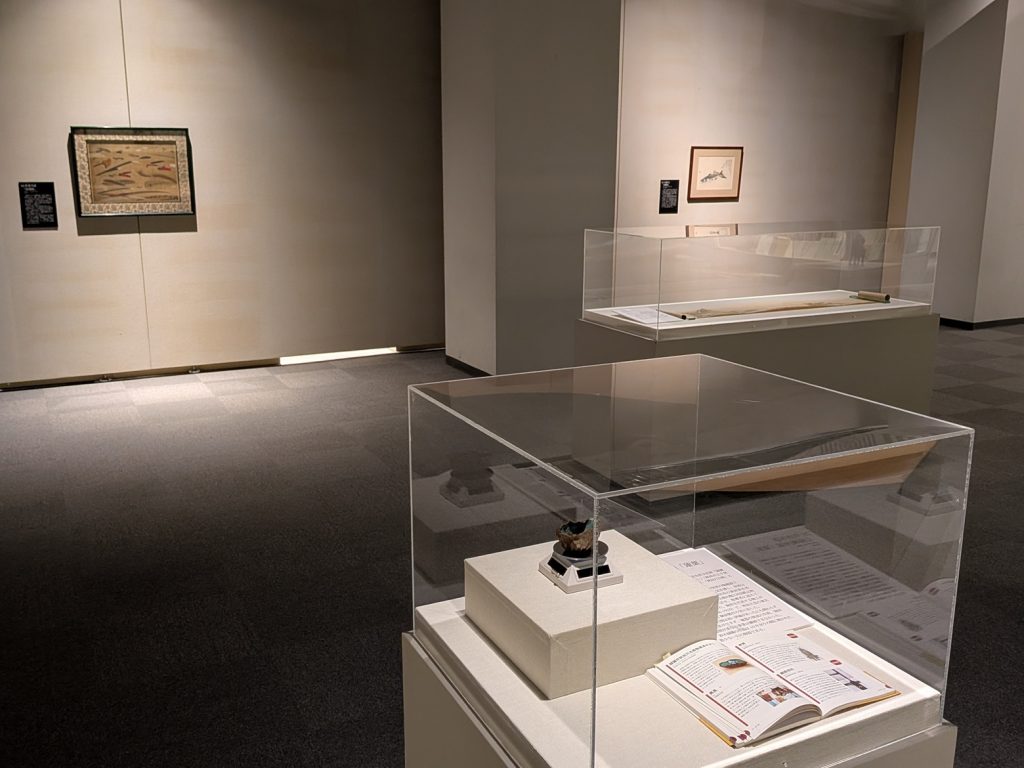 写真：展示風景　企画展　シン秋田画人伝
